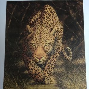 Leopard Print by Andrew Bone